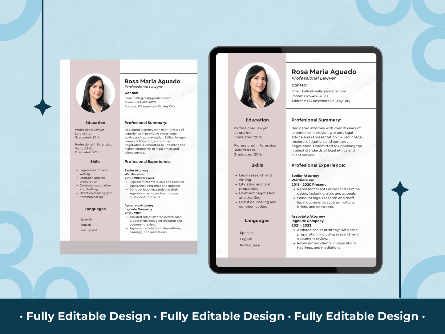 Professional Resume Canva Editable Template Digital Marketing Curriculum Vitae Templates Professional Marketing CV Template