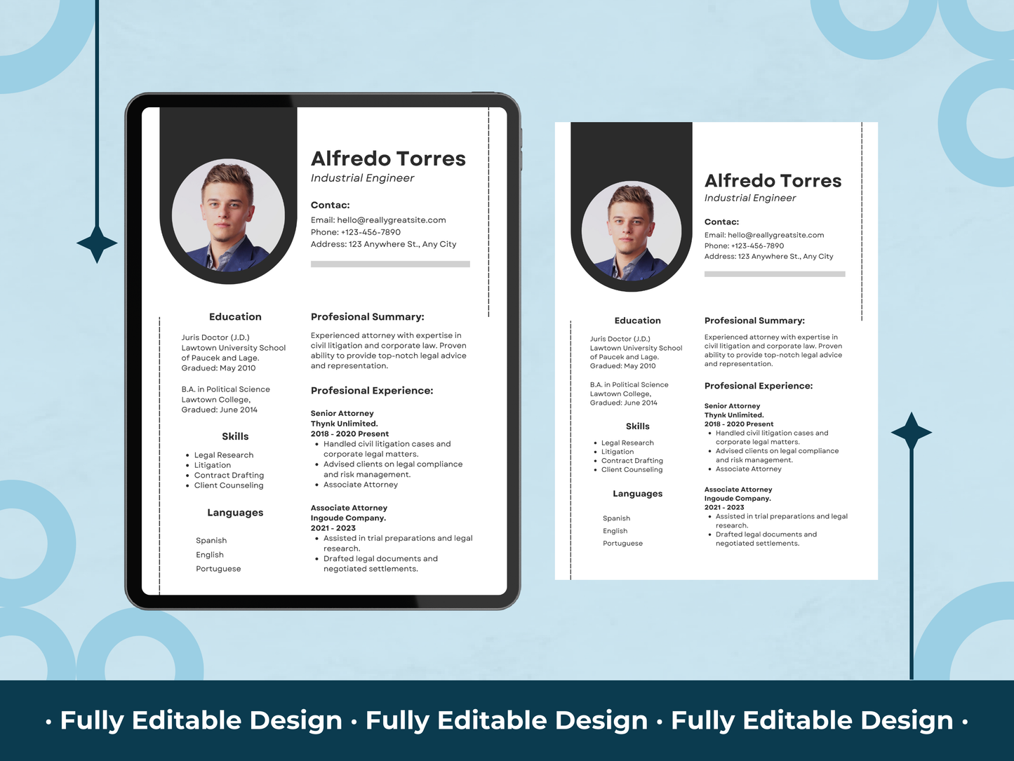 Professional Resume Canva Editable Template Digital Marketing Curriculum Vitae Templates Professional Marketing CV Template